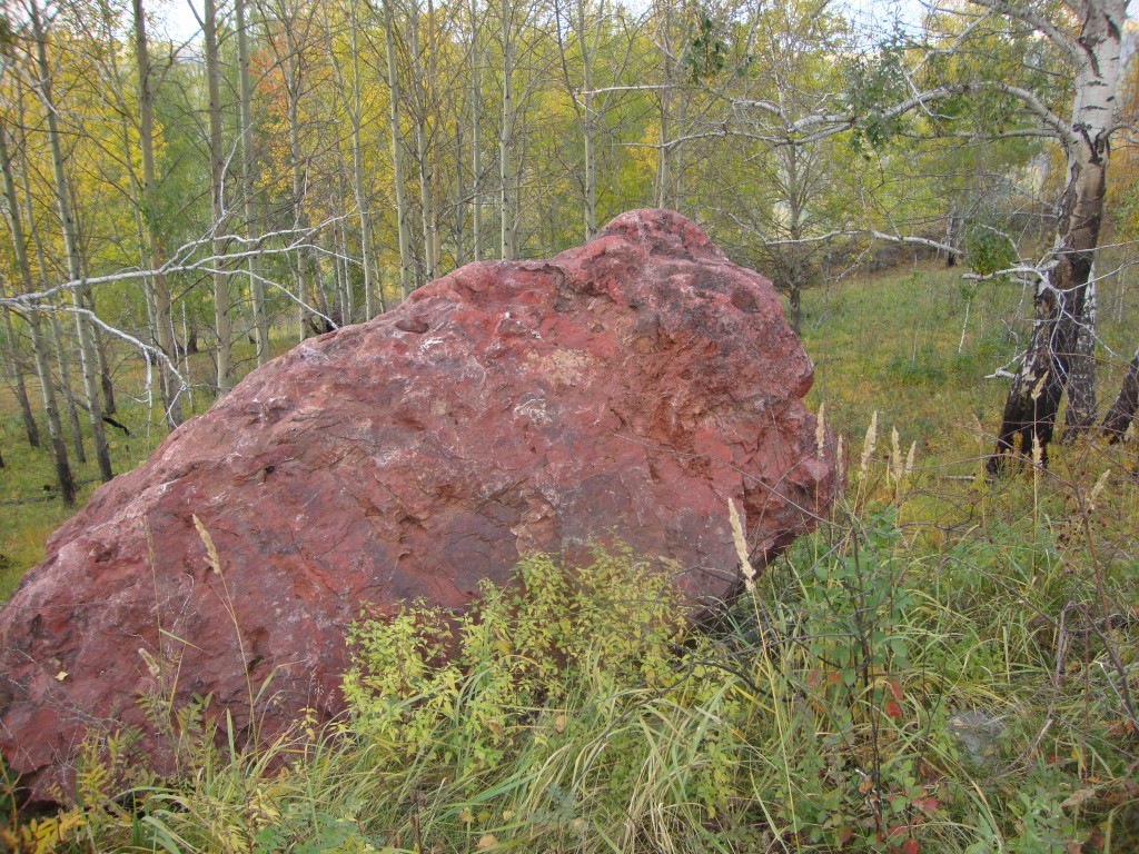 Камень Яшма в лесу